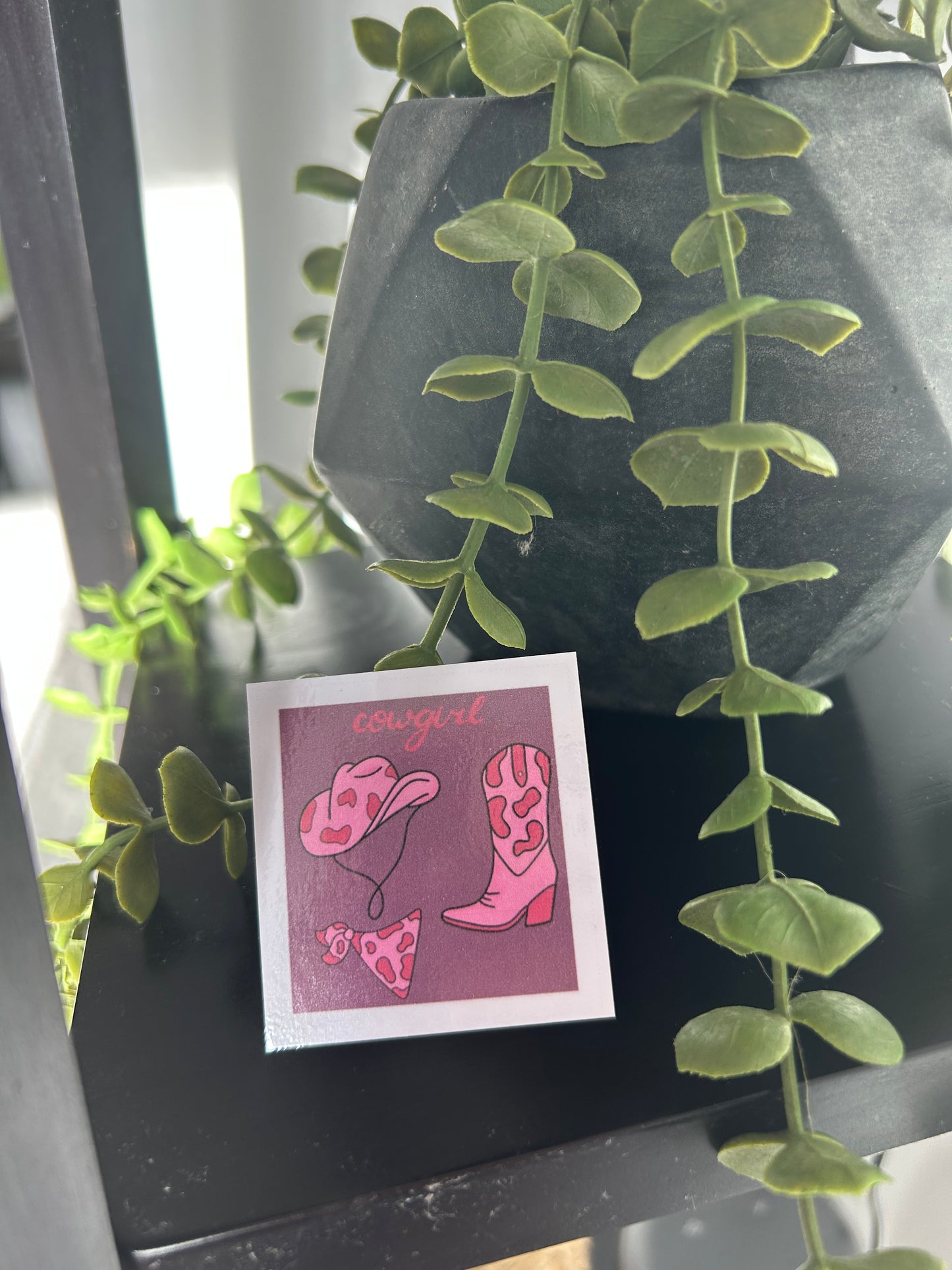 Cowgirl Vinyl Sticker Pack (5) – Western Aesthetic Laptop & Water Bottle Decals