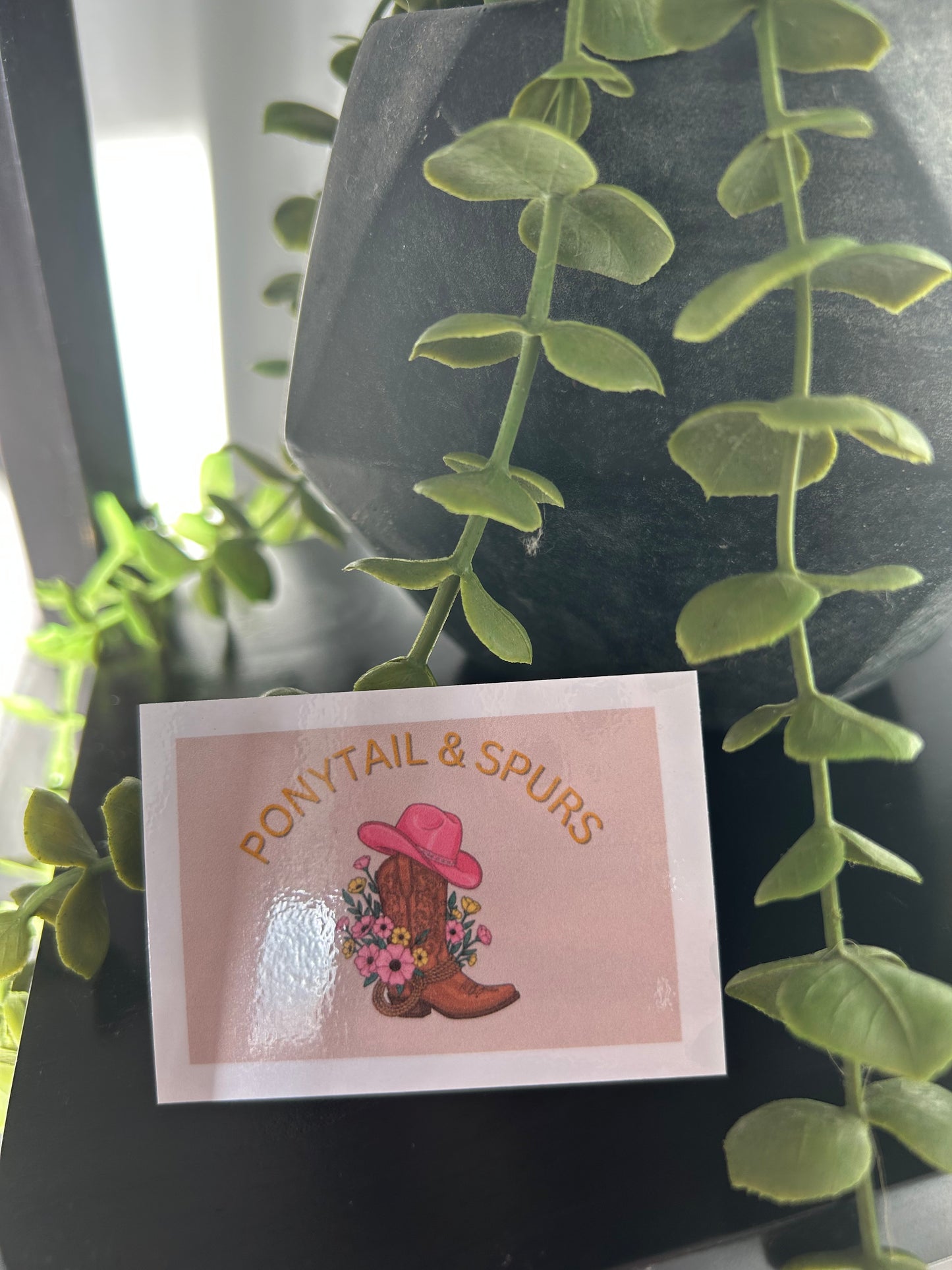 Cowgirl Vinyl Sticker Pack (5) – Western Aesthetic Laptop & Water Bottle Decals