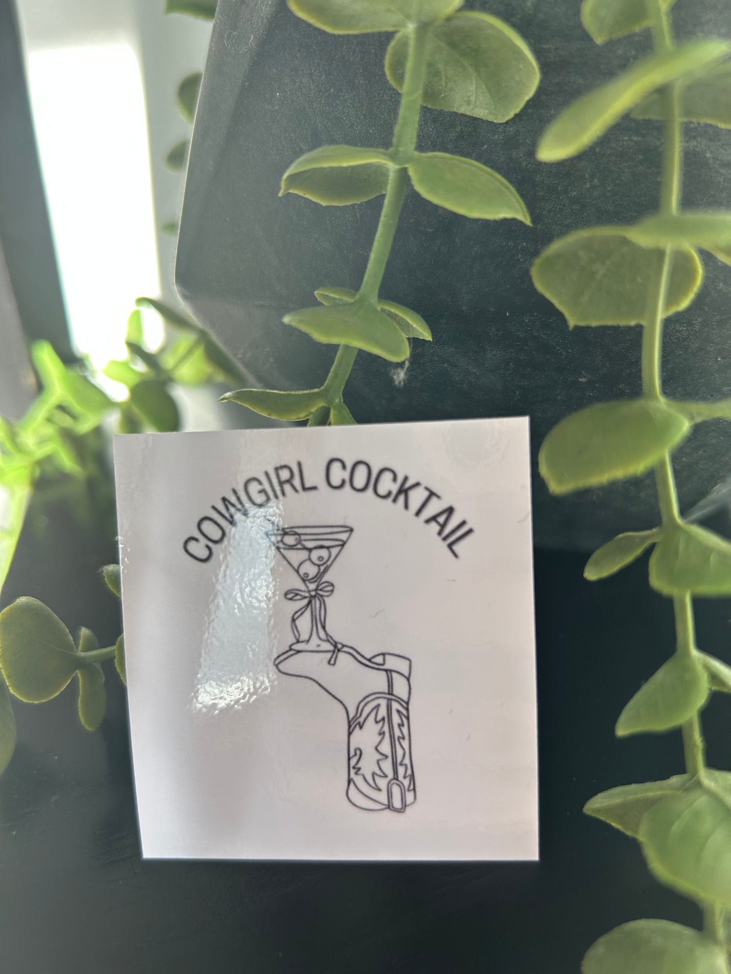 Cowgirl Vinyl Sticker Pack (5) – Western Aesthetic Laptop & Water Bottle Decals
