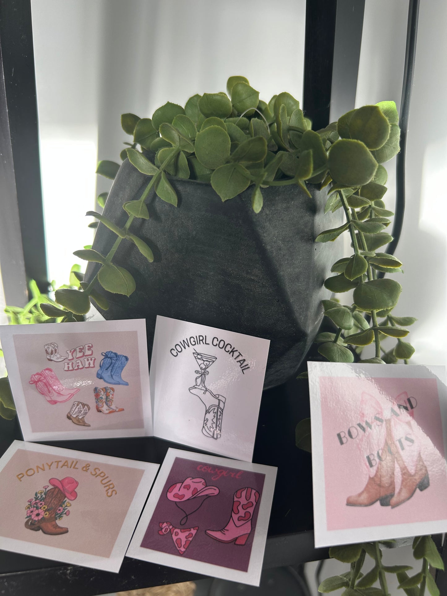 Cowgirl Vinyl Sticker Pack (5) – Western Aesthetic Laptop & Water Bottle Decals