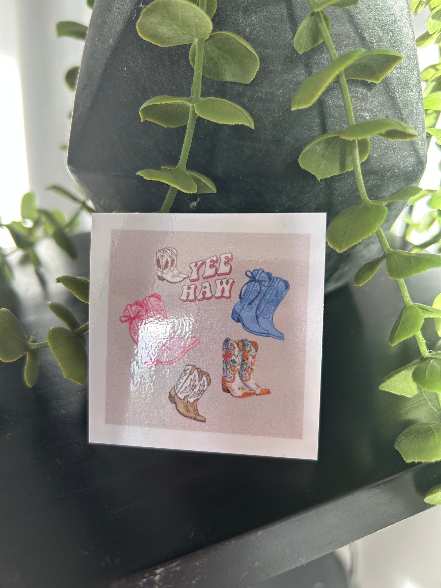 Cowgirl Vinyl Sticker Pack (5) – Western Aesthetic Laptop & Water Bottle Decals